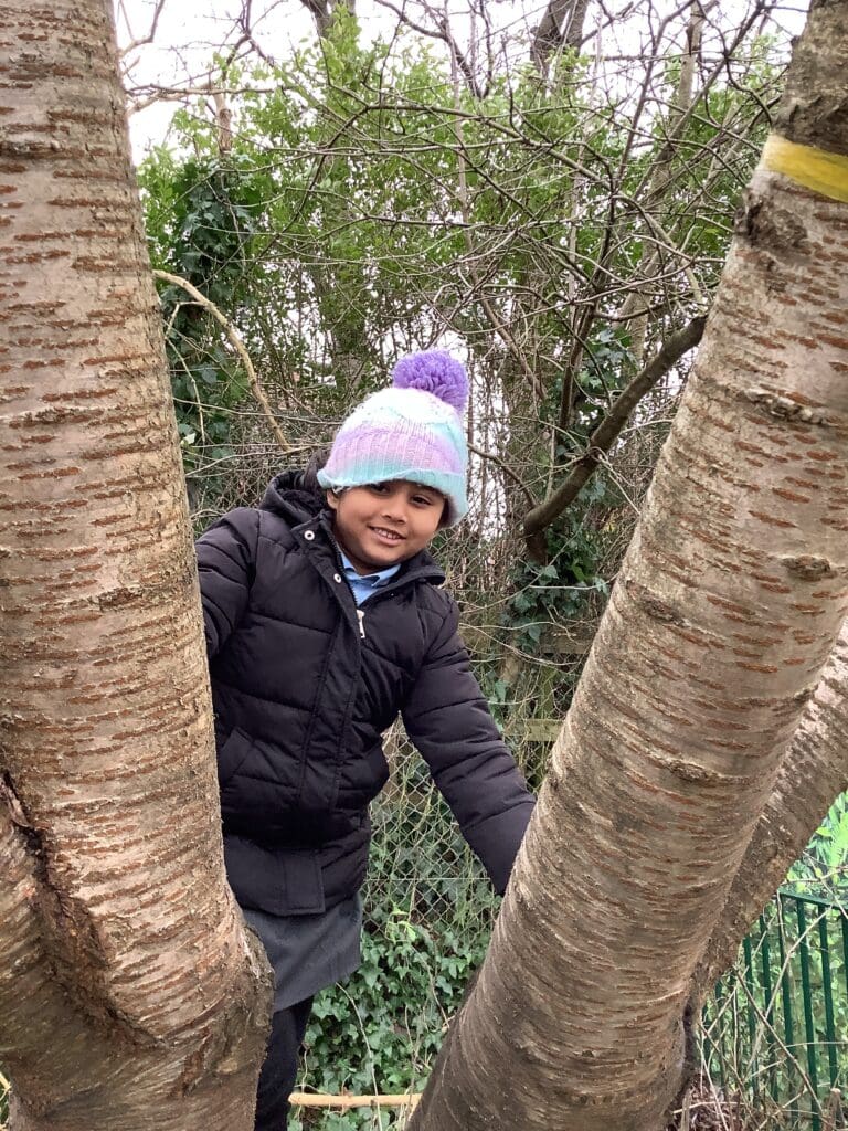 Year 1 - Forest Schools